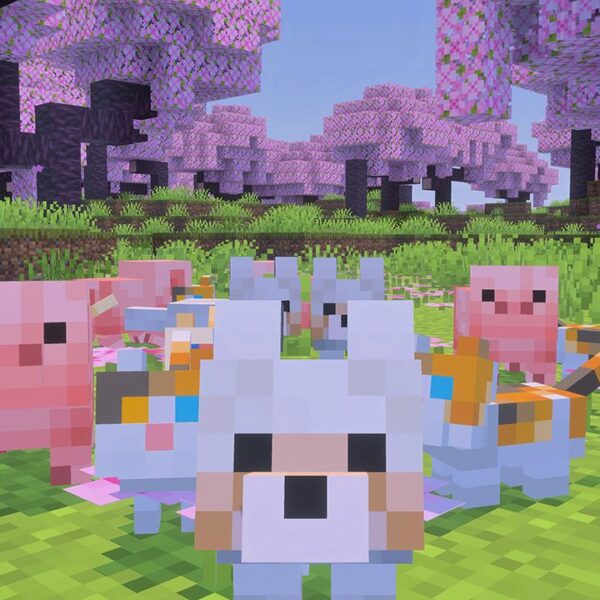 Minecraft teases its first drop of 2026, and it…